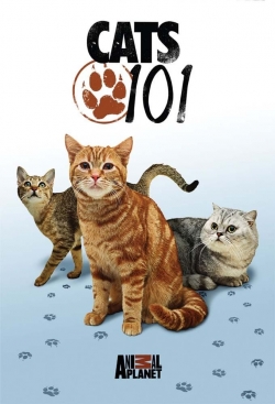 Cats 101-watch