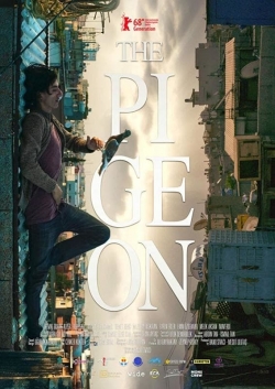 The Pigeon-watch