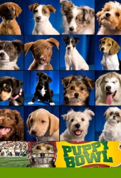 Puppy Bowl-watch