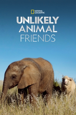 Unlikely Animal Friends-watch