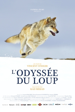 L'odyssée du loup-watch