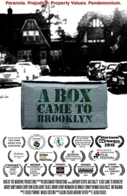 A Box Came to Brooklyn-watch