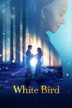 White Bird-watch