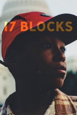 17 Blocks-watch
