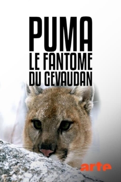 Puma, le fantôme du Gévaudan-watch