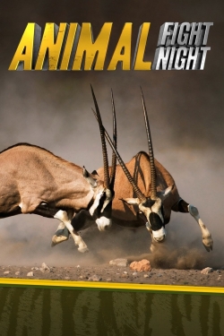 Animal Fight Night-watch