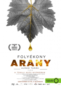 Folyékony arany-watch