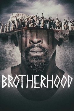 Brotherhood-watch