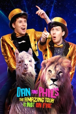 Dan and Phil's The Amazing Tour is Not on Fire-watch