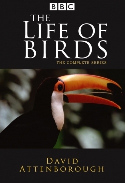 The Life of Birds-watch