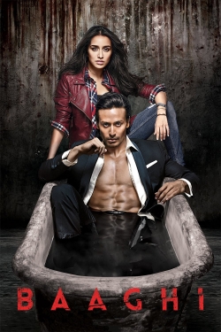 Baaghi-watch