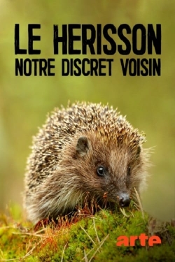 Le hérisson, notre discret voisin-watch