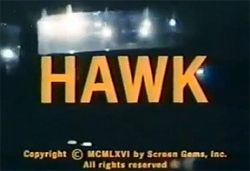 Hawk-watch