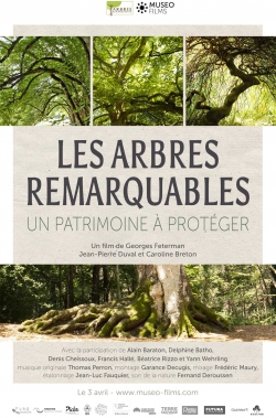 Les Arbres Remarquables, un patrimoine à protéger-watch