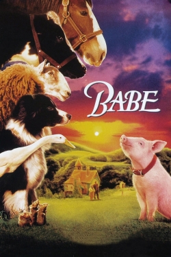 Babe-watch