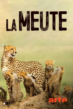 La Meute Cinq guépards dans le Serengeti-watch