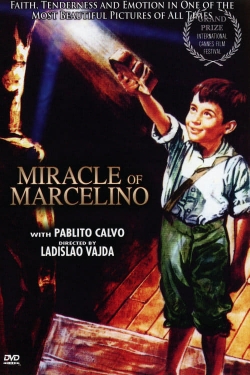 The Miracle of Marcelino-watch