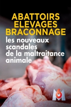 Abattoirs, élevages, braconnage, les nouveaux scandales de la maltraitance animale-watch