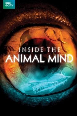 Inside the Animal Mind-watch