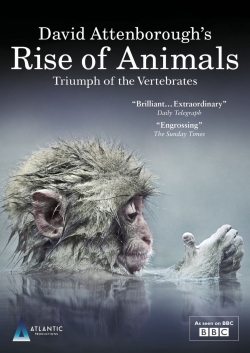 David Attenborough's Rise of Animals: Triumph of the Vertebrates-watch