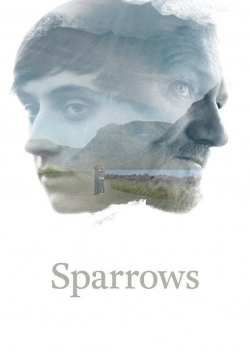 Sparrows-watch