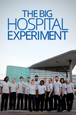 The Big Hospital Experiment-watch